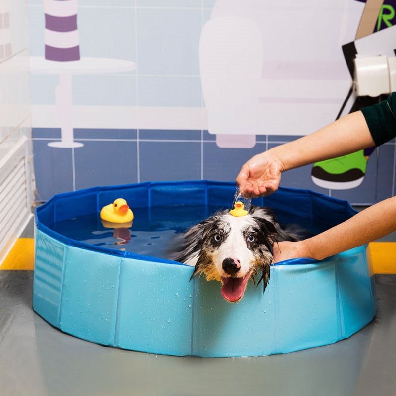 PORTABLE DOG POOL - Fusionnue.com