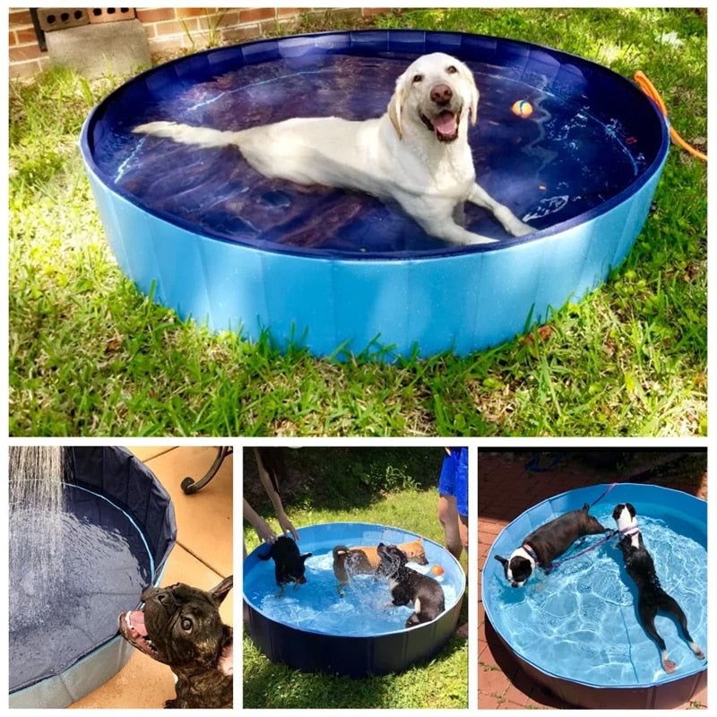 PORTABLE DOG POOL - Fusionnue.com